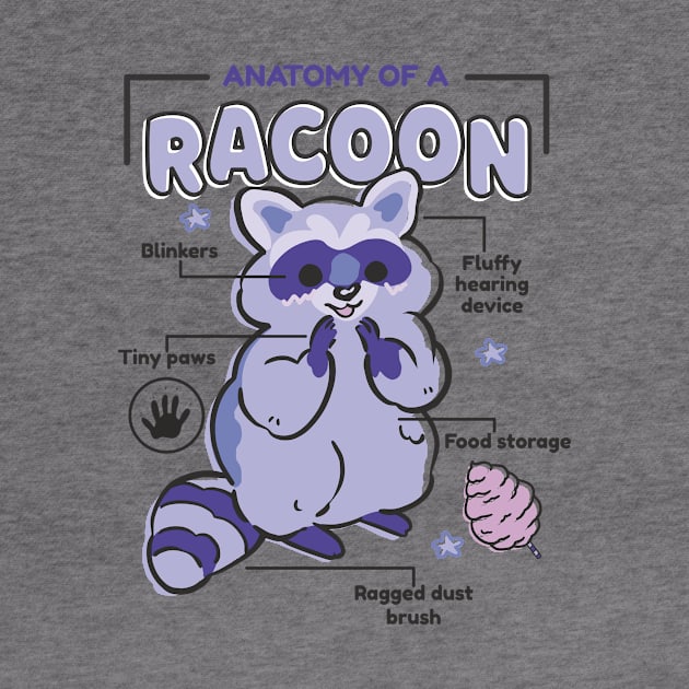 Awesome Raccoon Explanation Anatomy Of A Raccoon by anubis1986